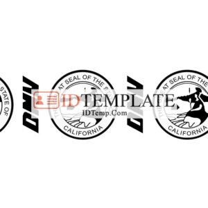 California DL hologram 2