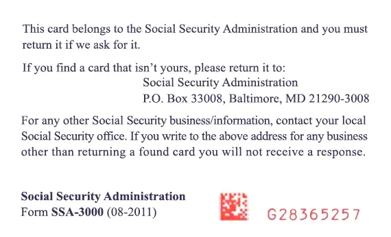 Social Security Card Template PSD Back