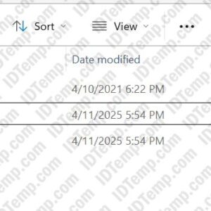 Philippines Drivers License Template
