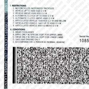 Philippines Drivers License Template PSD Back